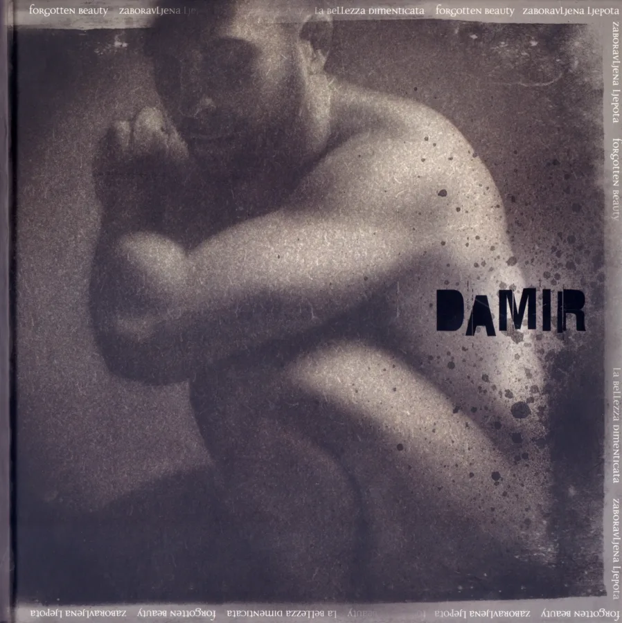 Zaboravljena ljepota, Damir Šimić, 33 ^€